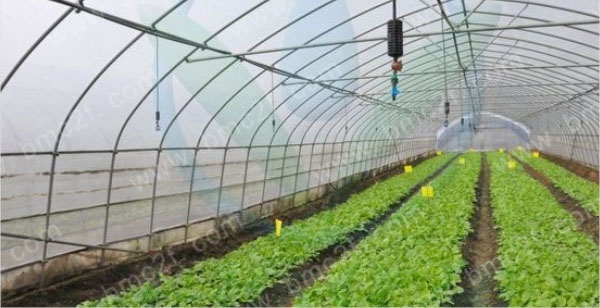 溫室降溫大棚噴霧設備應用及發(fā)展前景 溫室降溫大棚噴霧設備應用及發(fā)展前景